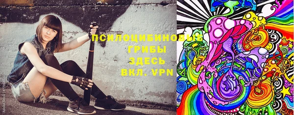 марки nbome Богданович