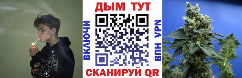 Каннабис ГИДРОПОН  Купить закладки  Междуреченск 